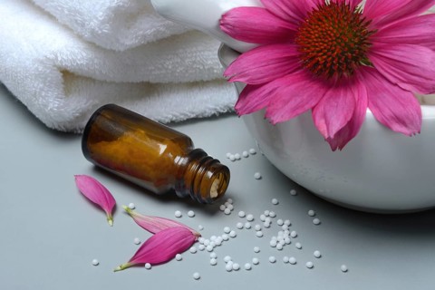 Globules, scattering globules and coneflower (echinacea)