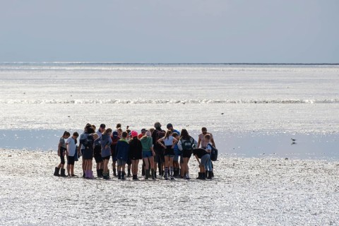 A group of pupils on a mudflat hike in the Wadden Sea National Park, low tide, Norddeich, Norden,