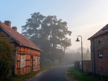 Old farmhouse on village street, half-timbered with bricks, lantern, morning mist, Schlepzig,