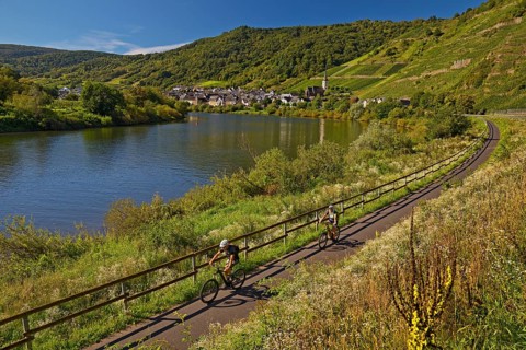 Cyclists on the Moselle cycle path with a view of the village of Bremm, Rhineland-Palatinate,