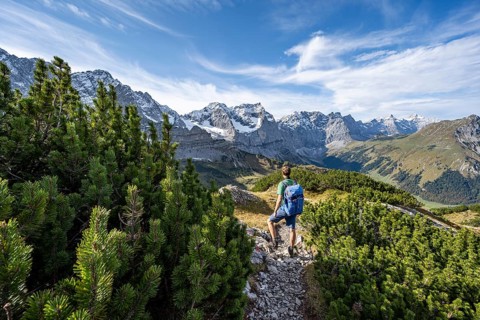 Mountaineer on a hiking trail with mountain pines, mountain panorama with rocky steep peaks, view