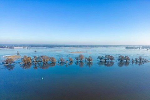 Aerial view, drone photo: Flood, flooded meadows in the floodplains along the river Oder, GroÃŸ
