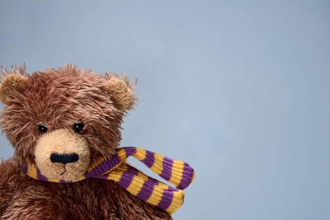 Teddy bear, Teddy