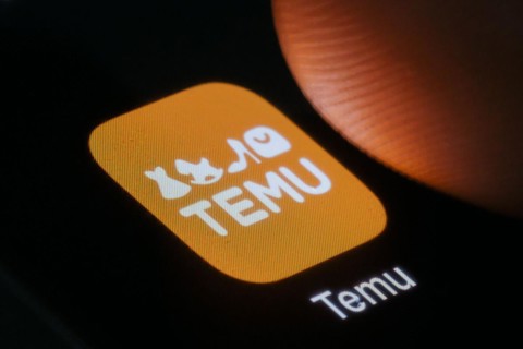 The logo of the Temu app (online marketplace) from Chinese company PDD Holdings can be seen next to