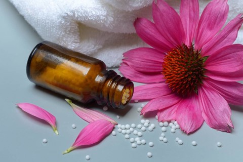 Globules, scattering globules and coneflower (echinacea)