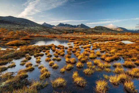 Autumn landscape in Rondane National Park, mountains Hogronden, Midtronden and Digerronden Doralen,