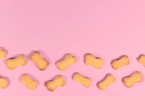 Bone shaped dog biscuits at bottom of pink background with empty copy space