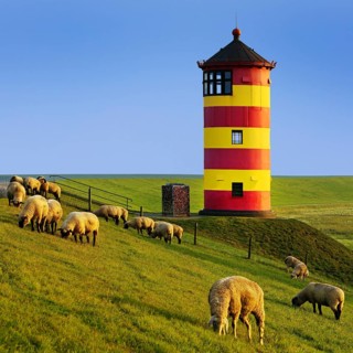 Pilsum lighthouse with sheep on the dike, Pilsum, Krummhörn, East Frisia, Lower Saxony, North Sea,