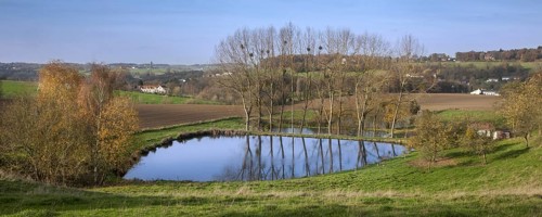 Agricultural landscape showing pond on farmland in rural Walloon Brabant, Wallonia, Belgium, Europe