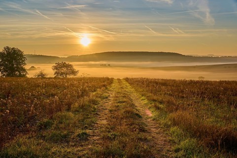 Landscape, country lane, fields, fog, sunrise, Höhefeld, Wertheim, Baden-Württemberg, Germany,