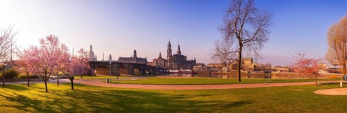 Spring on the Königsufer in Dresden