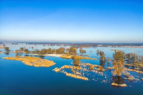 Aerial view, drone photo: Flood, flooded meadows in the floodplains along the river Oder, GroÃŸ