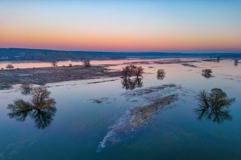 Aerial view, drone photo: Winter floods, trees and flooded meadows in the floodplains along the