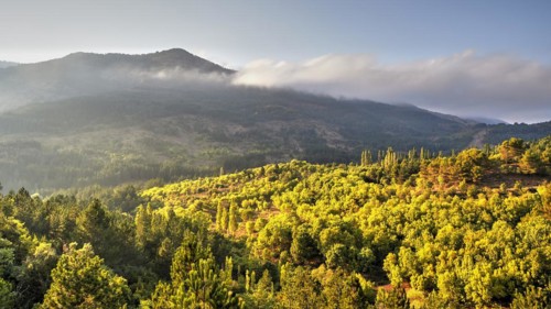 HDR shot, mountain, fog, clouds, green forests, Madonie National Park, spring, Sicily, Italy,