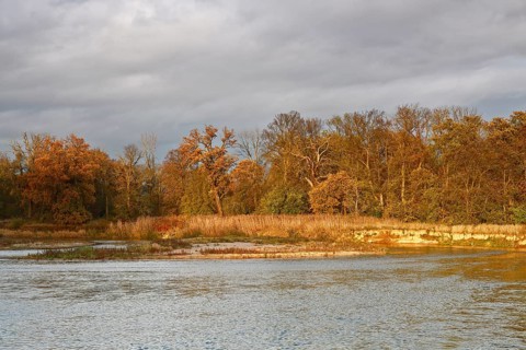 Autumn in the floodplain, view of a river gravel bank and steep banks of the river Mulde near