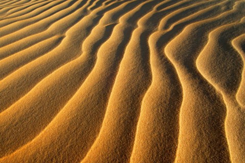 Egypt, Great Sand Sea, Middle East, Africa