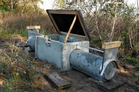 Live trap for red fox (Vulpes vulpes), Strohauser Plate, LK Wesermarsch, Lower Saxony, Germany,