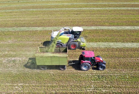 Aerial view of forage harvesting on an organic farm. A forage harvester transports the chopped