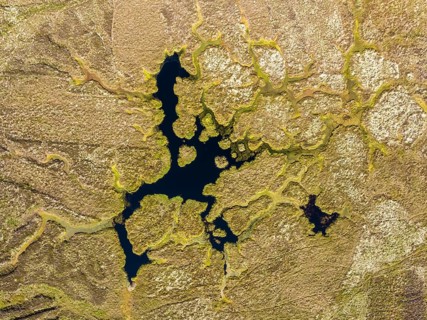 Aerial view of a marshland on the north-east coast of Scotland, County Caithness, Scotland, Great