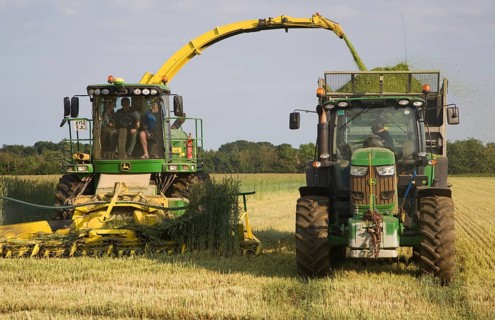 Machinery harvesting a crop of rye to be used as biofuel for electricity generation, Shottisham,