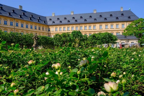 Rose Garden, New Residence, Domberg, Bamberg, Upper Franconia, Bavaria, Germany, Europe