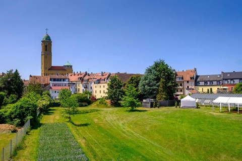 St Otto, vegetable gardens, garden city, Bamberg, Upper Franconia, Bavaria, Germany, Europe