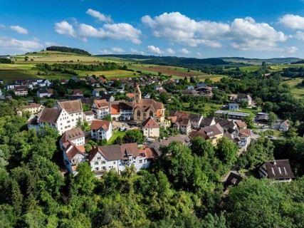 Aerial view of flower field, district of the southern Baden town of Tengen with flower field Castle