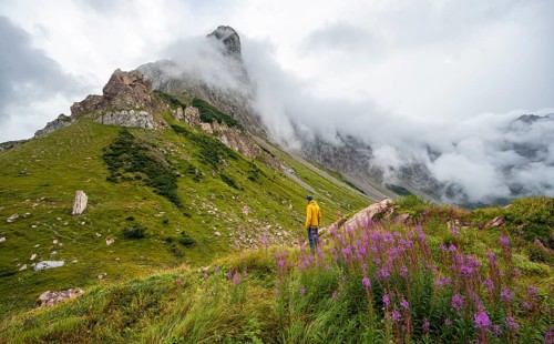Green meadows and pink flowers in a cloudy mountain landscape, mountaineer with yellow jacket,