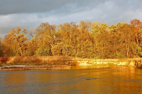 Autumn in the floodplain, view of a river gravel bank and steep banks of the river Mulde near