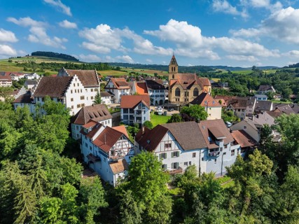 Aerial view of flower field, district of the southern Baden town of Tengen with flower field Castle