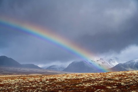Rainbow in autumnal mountain landscape, Rondane National Park, Norway, Europe