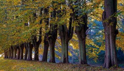 Autumn time, palace gardens, Ahrensburg, Schleswig-Holstein, Germany, Europe