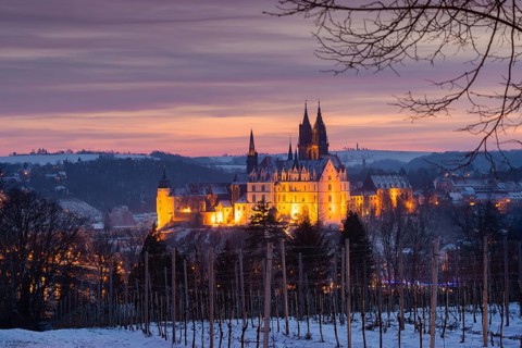 View from the Proschwitz Winery of Meissen Castle Hill with Albrechtsburg Castle, Bishop's Palace