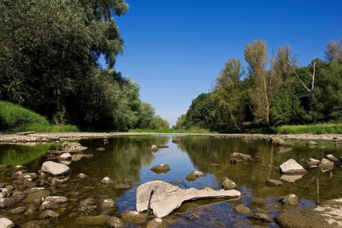 Elbe meadows between Kleinzschachwitz and Pillnitz