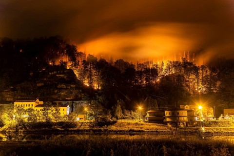 Forest fire