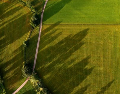Drone image, tracks on a mown meadow with shadow of trees, from above, structure, agriculture,