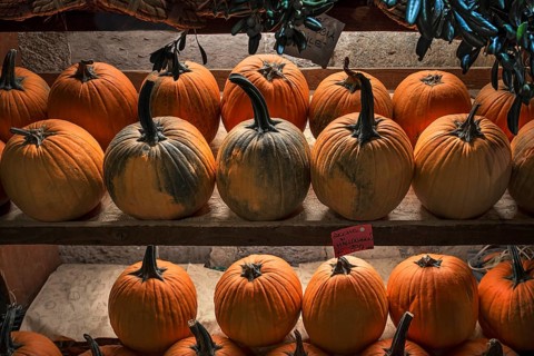 Shelves of Hokkaido pumpkins in a greengrocer's shop in the historic centre, Genoa, Italy, Europe