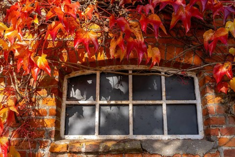 Autumn season, castle park and outbuildings, Ahrensburg, Schleswig-Holstein, Germany, Europe