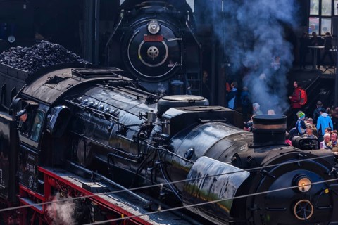 Dresden Steam Locomotive Meeting, 11 to 13 April 2014, around the Dresden-Altstadt depot, Numerous