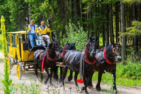 8th stagecoach meeting in Grillenburg
