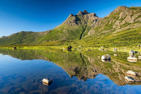 Mount Trehyrna reflected in lake, Nykvag, Langoya Island, Vesteralen Archipelago, Norway, Europe