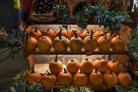 Shelves of Hokkaido pumpkins in front of a fruit shop in the historic centre, Genoa, Italy, Europe