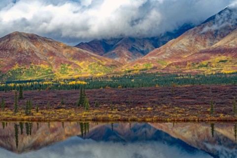 Autumn landscape in Denali State Park, intense colours, reflections in the water, Central Alaska,