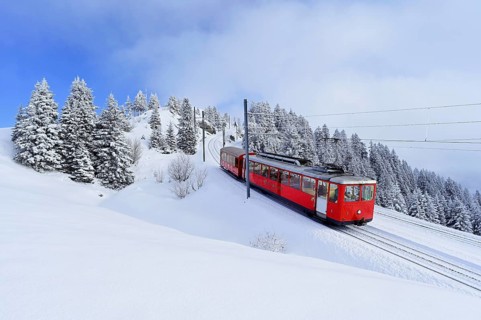 Cogwheel railway travelling through snow-covered forest, Rigi Kulm, Canton Schwyz, Switzerland,