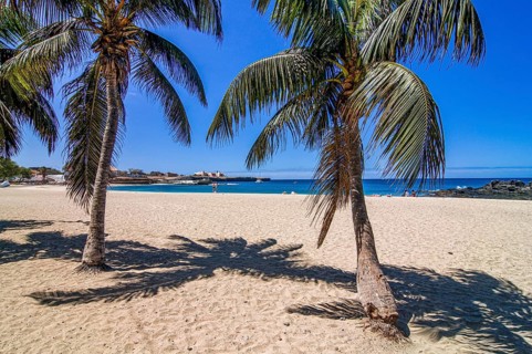 Nice sandbeach with palms and rocks. Tarrafal. Santiago. Cabo Verde. Africa