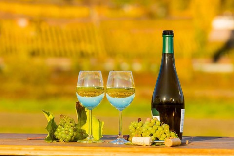 The wine-growing region of Saxony is one of the smallest and the most easterly wine-growing region