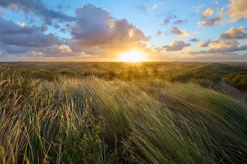 Sand dune, dune grass, wind, sunrise, clouds, Amsterdam water line dunes, Zandvoort, North Sea,