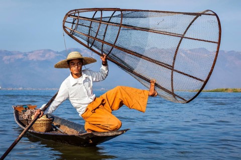 Myanmar travel attraction landmark, Traditional Burmese fisherman with fishing net at Inle lake in