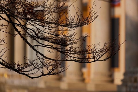 (Copyright Â©www.dresden fotografie.de) (Sylvio Dittrich +49 1772156417) Pillnitz Palace Park