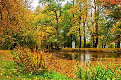About 15 kilometres east of Dresden city centre, directly on the Elbe, lies Pillnitz Palace & Park,